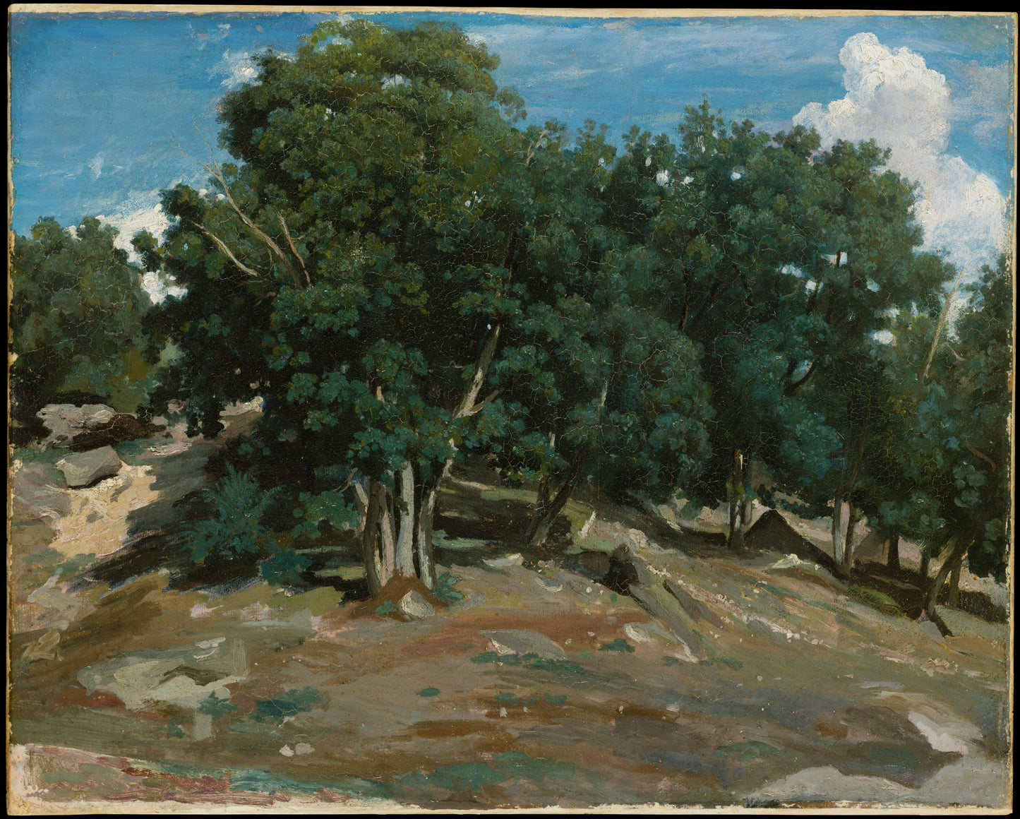 MUGG-108 — Camille Corot, Fontainebleau: Oak Trees at Bas-Bréau (1832 or 1833)